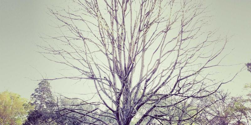 工程照明解决方案深度对比：朗旭照明LED三防灯与其他品牌的性能评测