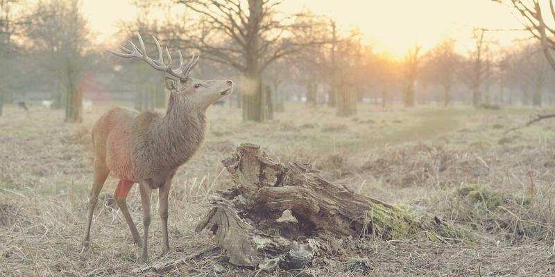 朗旭照明100：专业工程照明解决方案，引领工业照明高效节能新时代