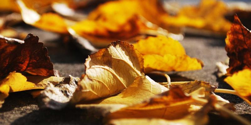 朗旭照明16：以专业商业照明设计与LED灯具，重塑商业空间光环境