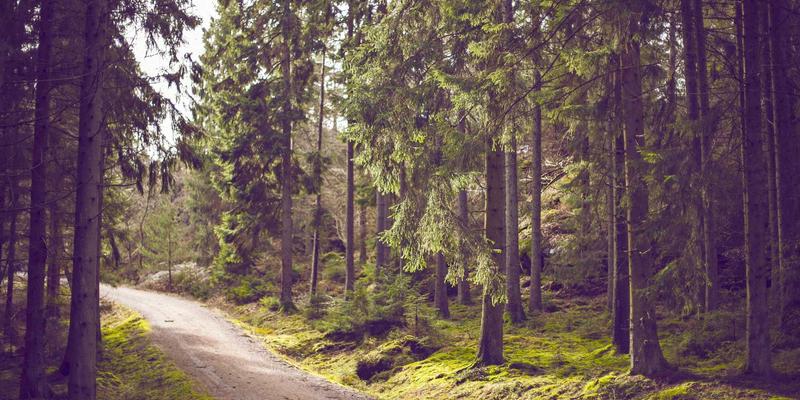 朗旭照明36：以创新科技点亮户外节能照明新未来