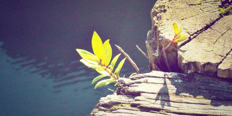 朗旭照明47系列：以专业商业照明与节能科技，重塑商业空间光环境