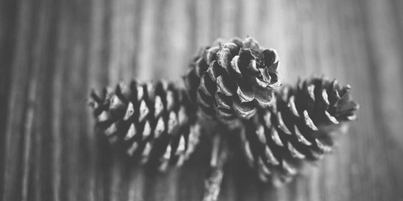 朗旭照明55：商业照明的设计哲学与节能实践