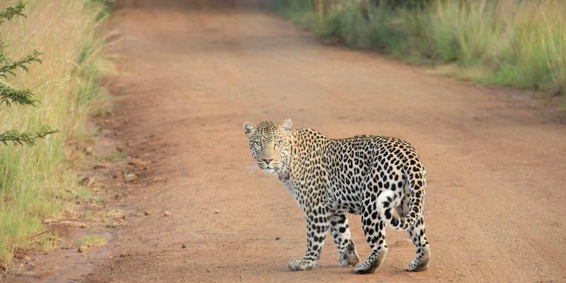 朗旭照明83系列：以专业LED照明灯具与创新照明设计，重塑空间光环境