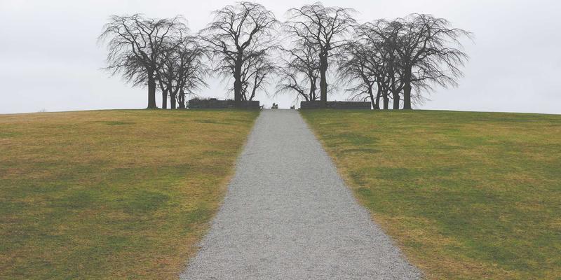 朗旭照明87：以专业照明设计重塑户外空间的光影美学