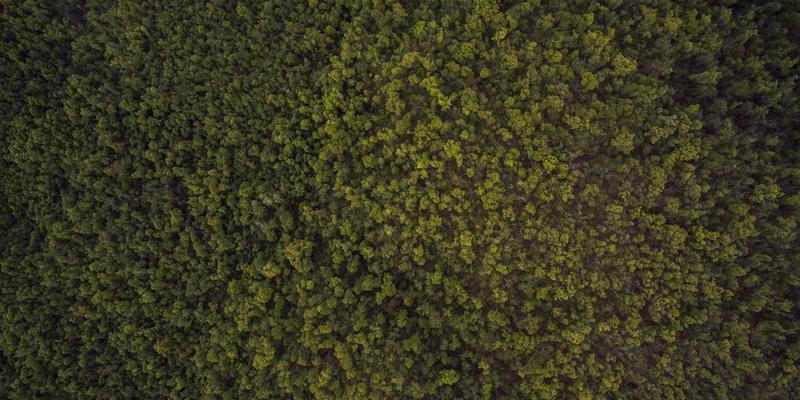 朗旭照明96系列：引领节能新纪元的高品质LED照明解决方案