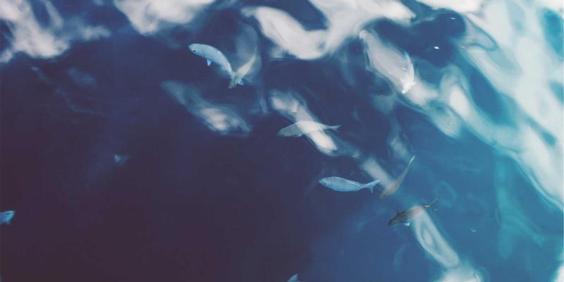 朗旭照明：从户外到医疗洁净空间，如何以专业照明打造无影、抗菌与人性化光环境