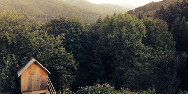 朗旭照明引领工业照明新趋势：节能灯具如何重塑现代工厂