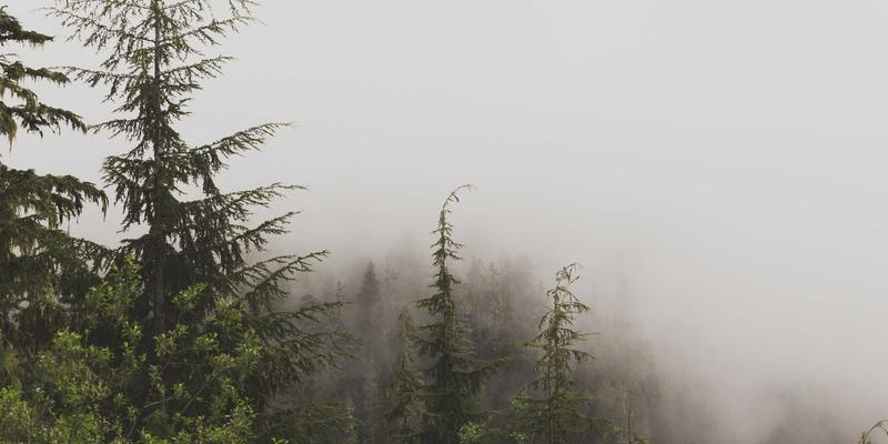 朗旭照明教程：掌握工程照明解决方案与LED灯具选型核心