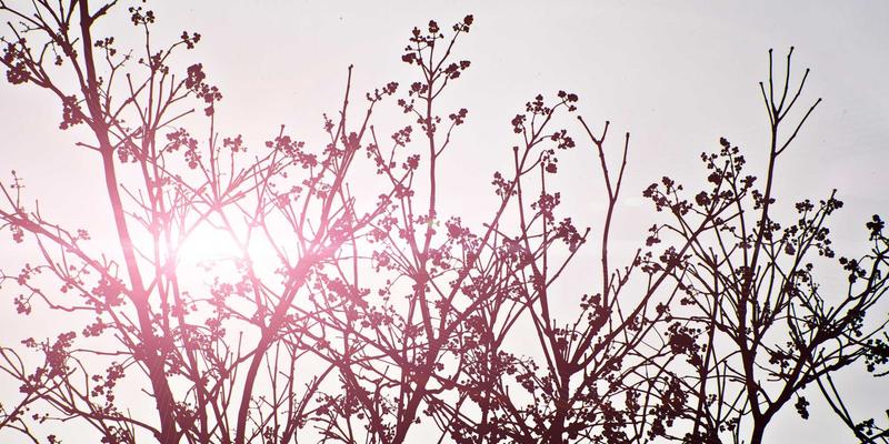 朗旭照明智慧工厂照明系统：物联网如何重塑工业与户外照明的未来