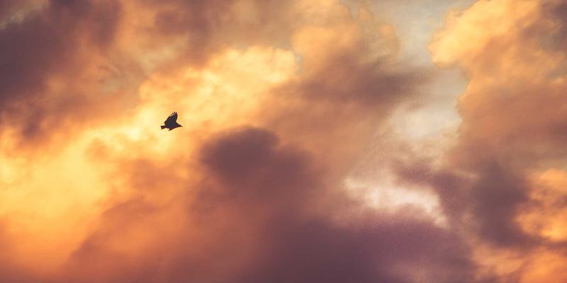 朗旭照明解析：高显色性LED工程照明解决方案如何革新仓储物流中心作业效率